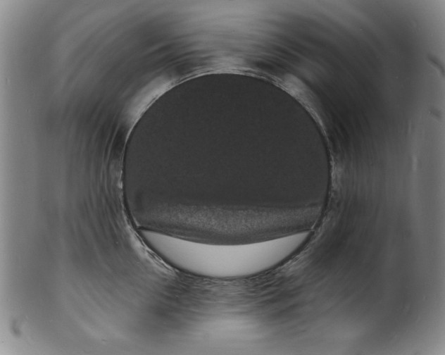 X0000102220954200808081314