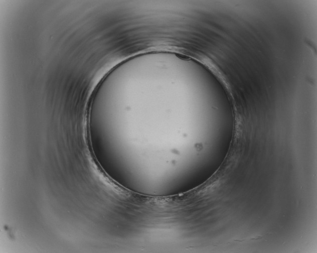 X0000102220955200808081314