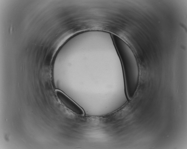 X0000102220956200808081314