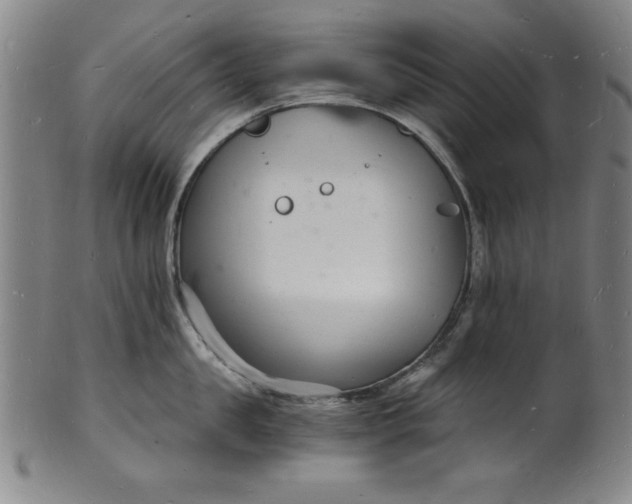 X0000102220957200808081314