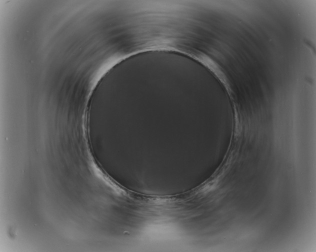 X0000102220958200808081314