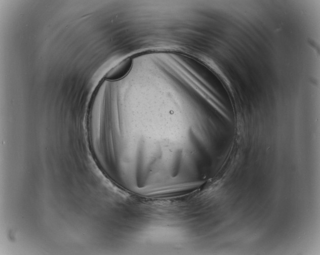 X0000102220959200808081314