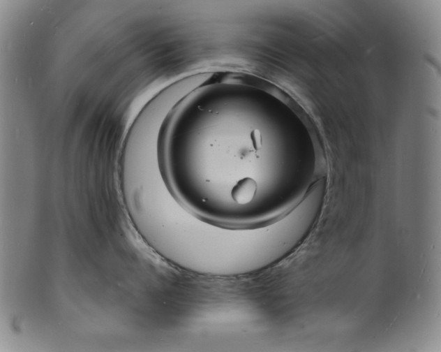 X0000102220960200808081314