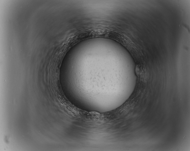 X0000102220961200808081313