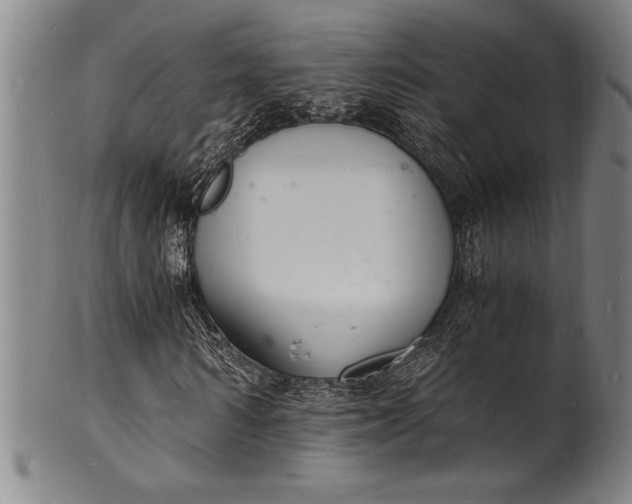 X0000102220962200808081313