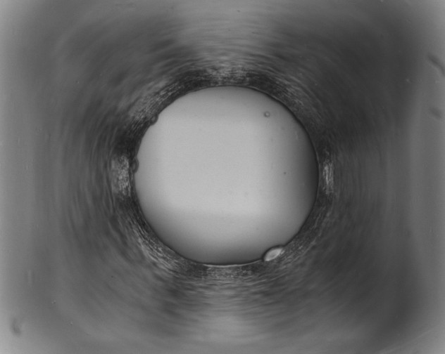 X0000102220963200808081313