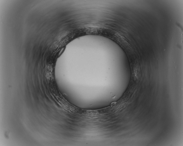 X0000102220964200808081313