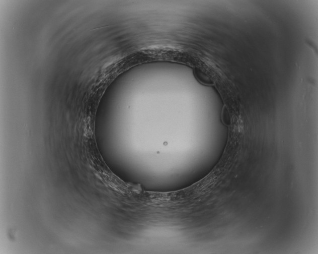 X0000102220965200808081313