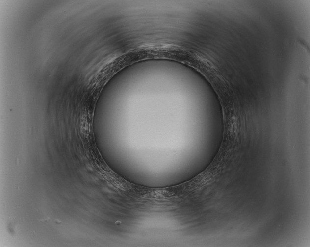 X0000102220966200808081313