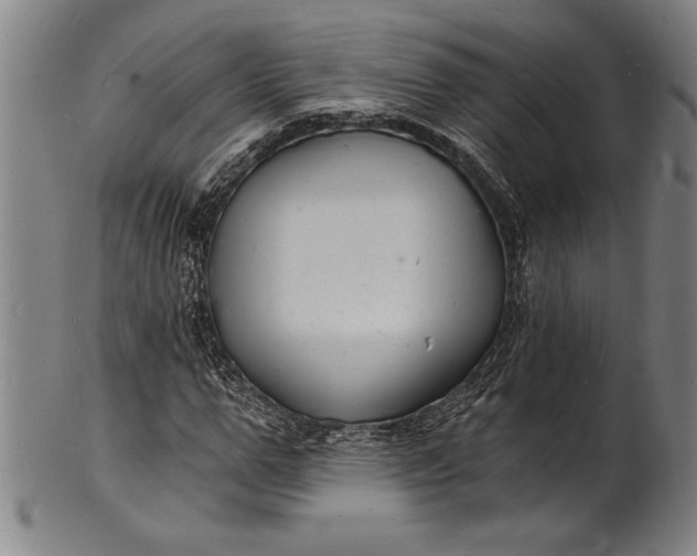 X0000102220967200808081313