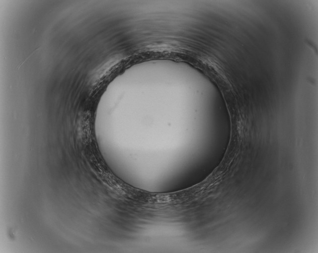 X0000102220968200808081313