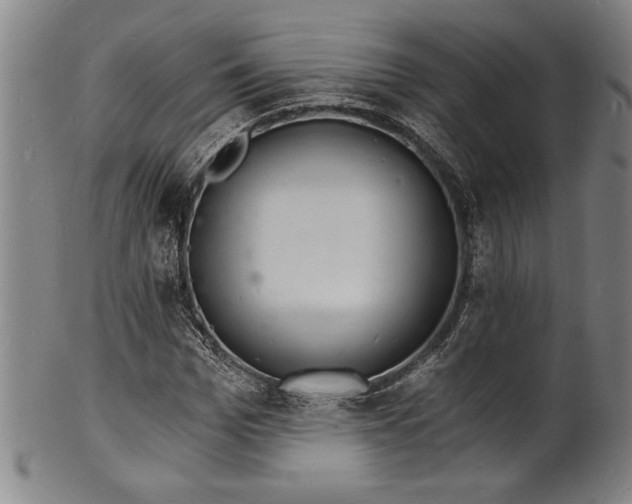 X0000102220969200808081313