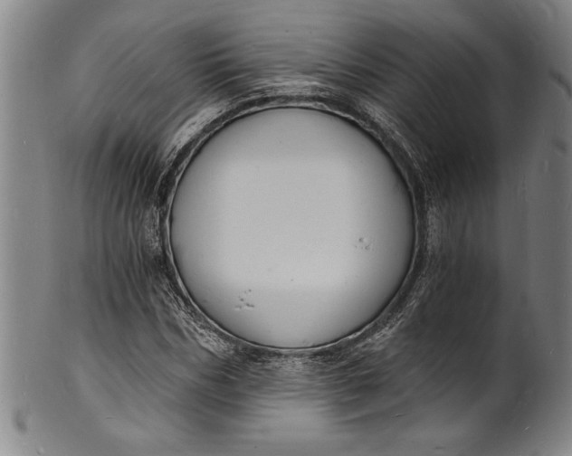 X0000102220970200808081313