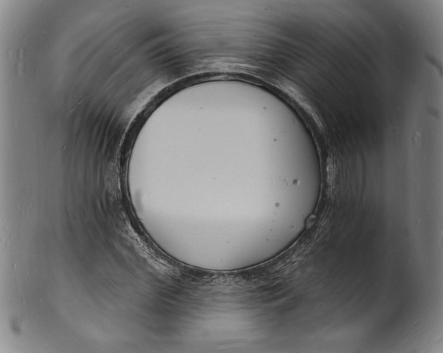 X0000102220972200808081313