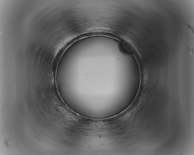 X0000102220973200808081313