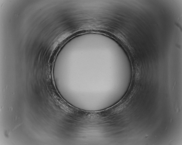 X0000102220974200808081313