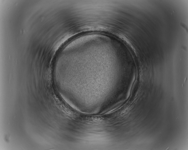 X0000102220975200808081313