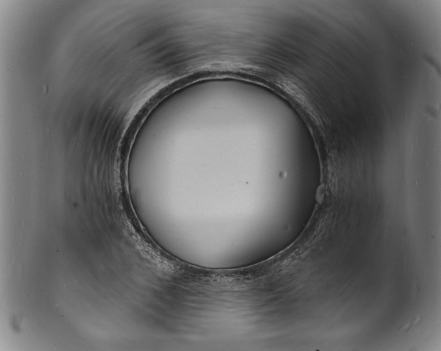 X0000102220976200808081313