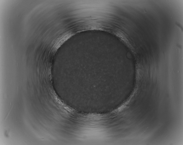 X0000102220977200808081313