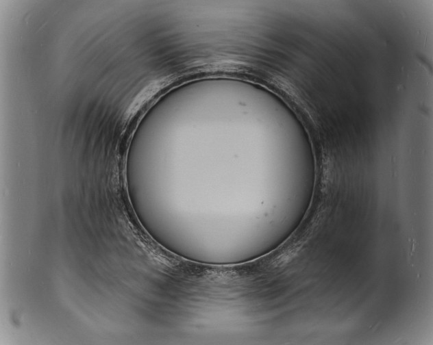 X0000102220978200808081313