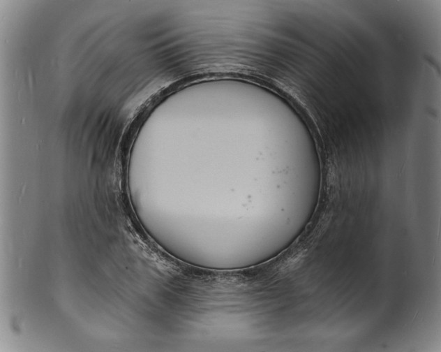 X0000102220979200808081313