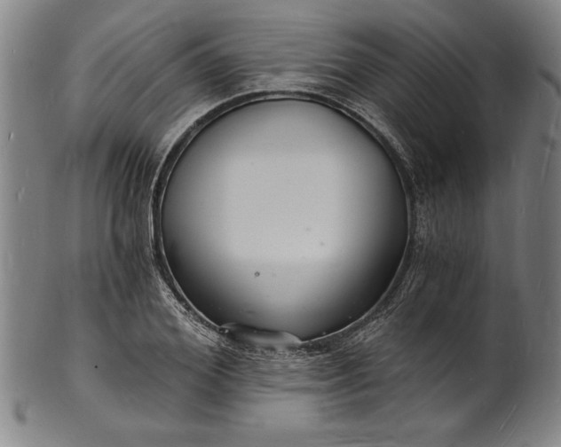 X0000102220980200808081313