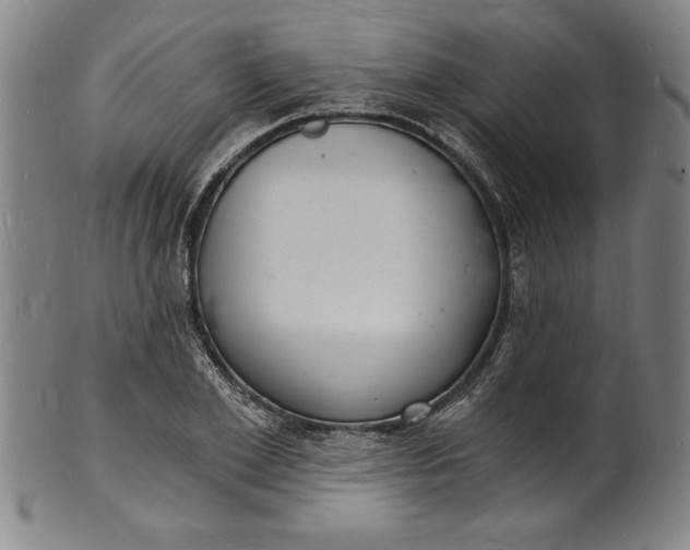 X0000102220981200808081313