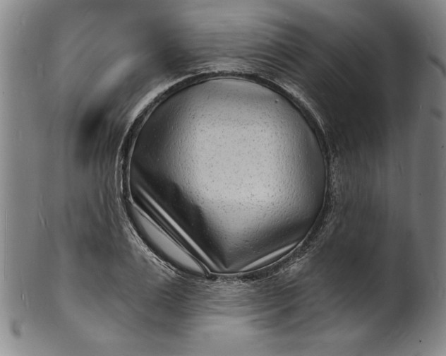 X0000102220983200808081313