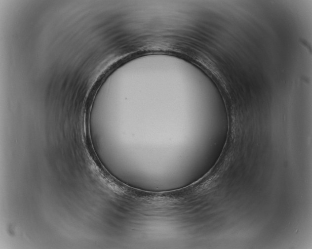 X0000102220984200808081313