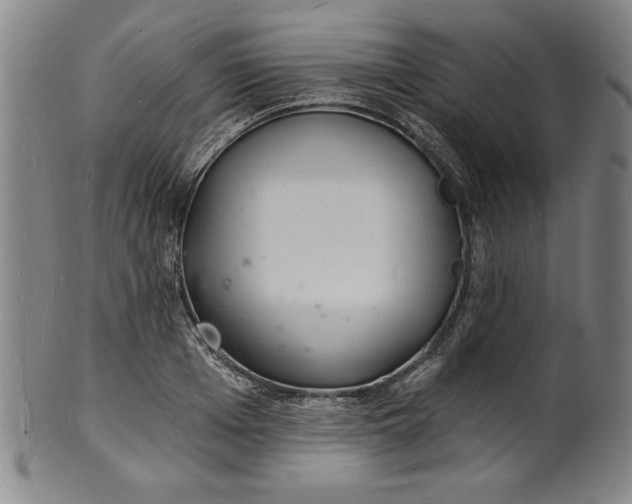 X0000102220985200808081313