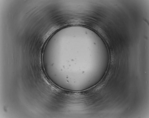 X0000102220986200808081313