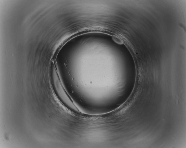 X0000102220989200808081313