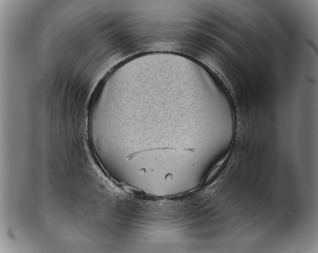 X0000102220992200808081313