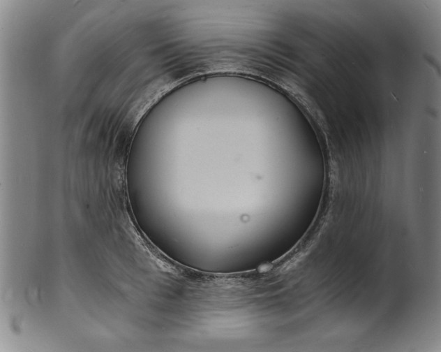 X0000102220993200808081313