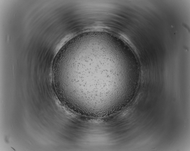 X0000102220994200808081313