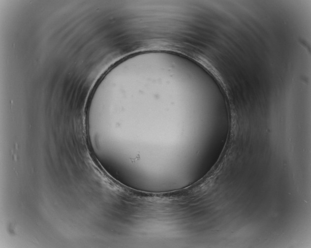 X0000102220996200808081313