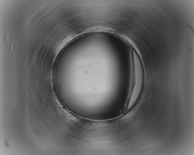 X0000102220997200808081313