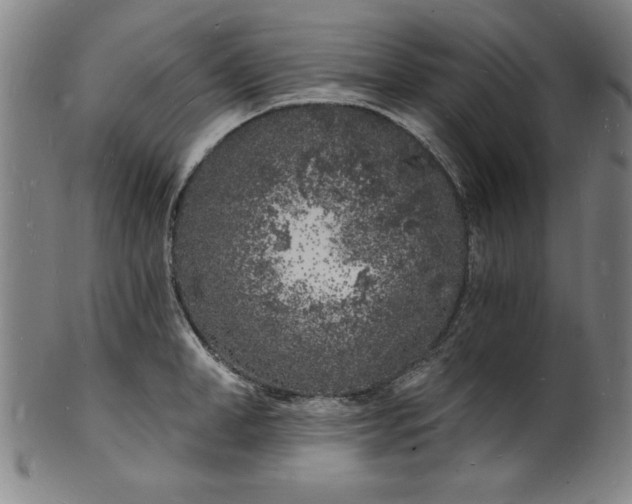 X0000102220998200808081313