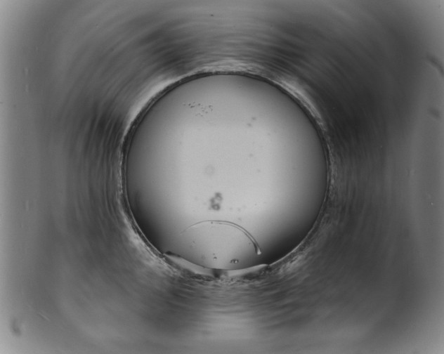 X0000102221000200808081313