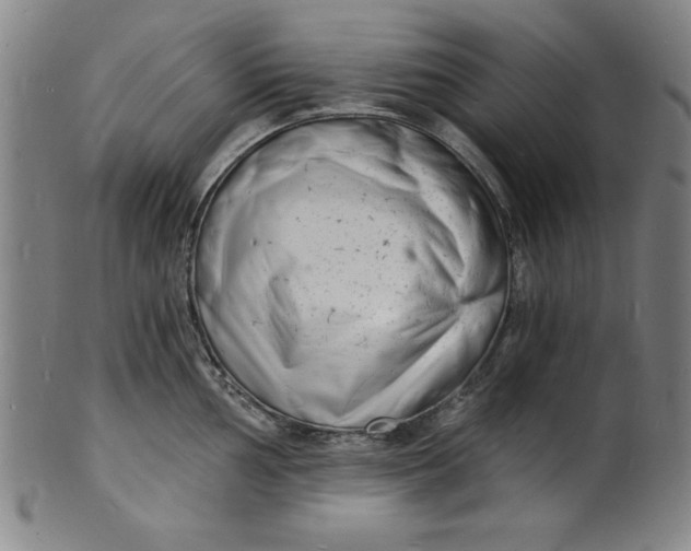 X0000102221002200808081313