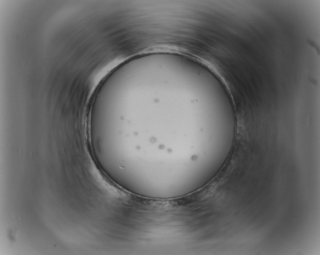 X0000102221003200808081313