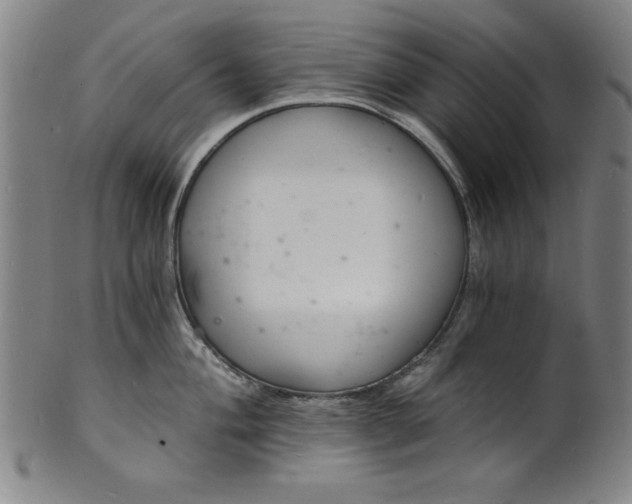 X0000102221004200808081313