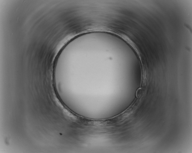 X0000102221005200808081313