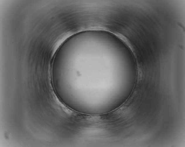 X0000102221006200808081312