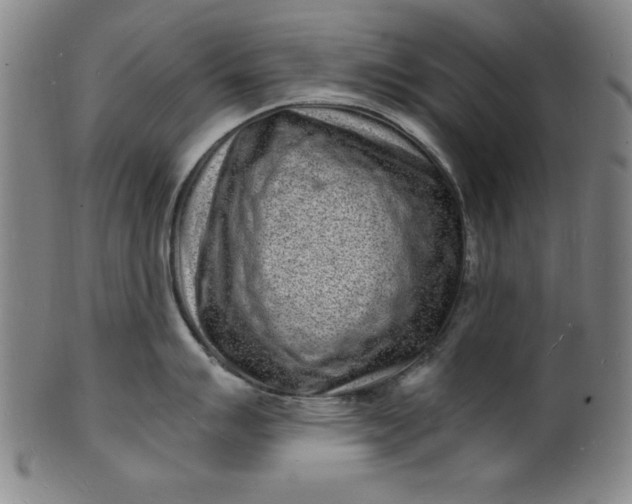 X0000102221007200808081312