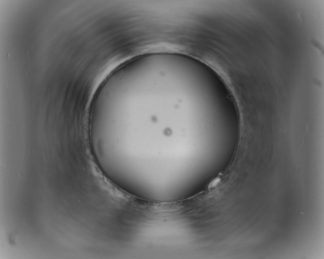 X0000102221008200808081312