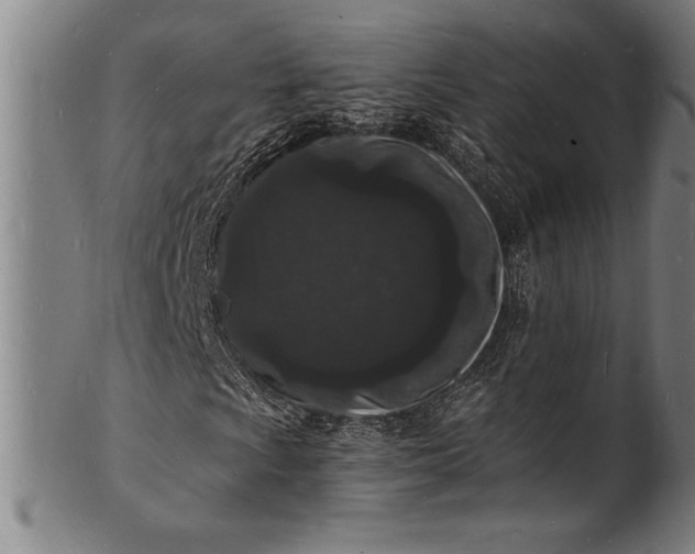 X0000102221009200808081312