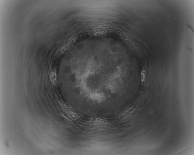 X0000102221011200808081312