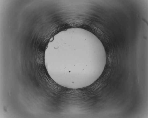 X0000102221012200808081312