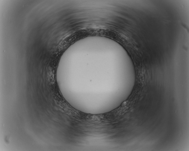 X0000102221013200808081312